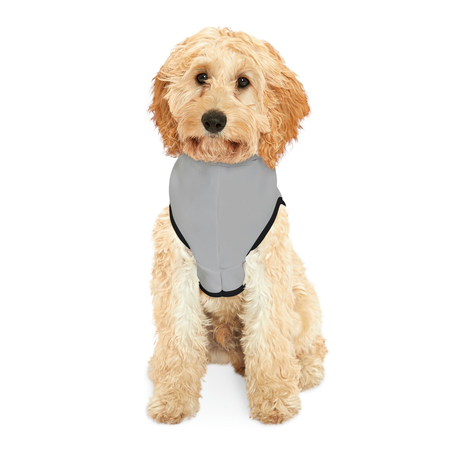 Pride 2023 Dog Hoodie