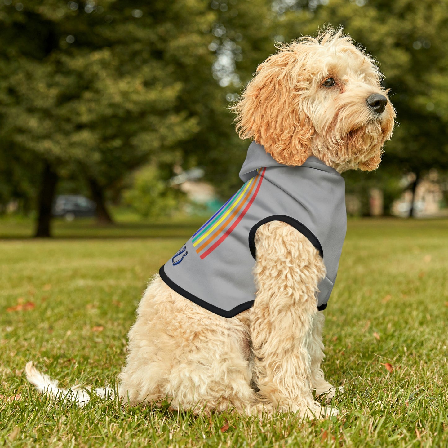 Pride 2023 Dog Hoodie