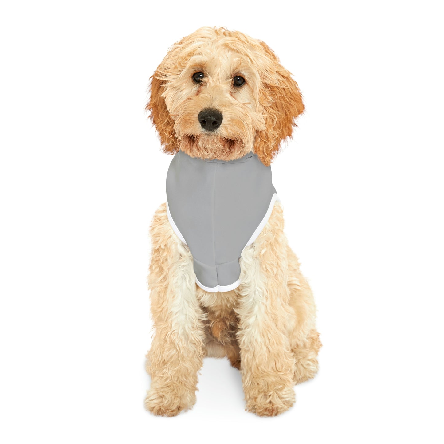 Pride 2023 Dog Hoodie
