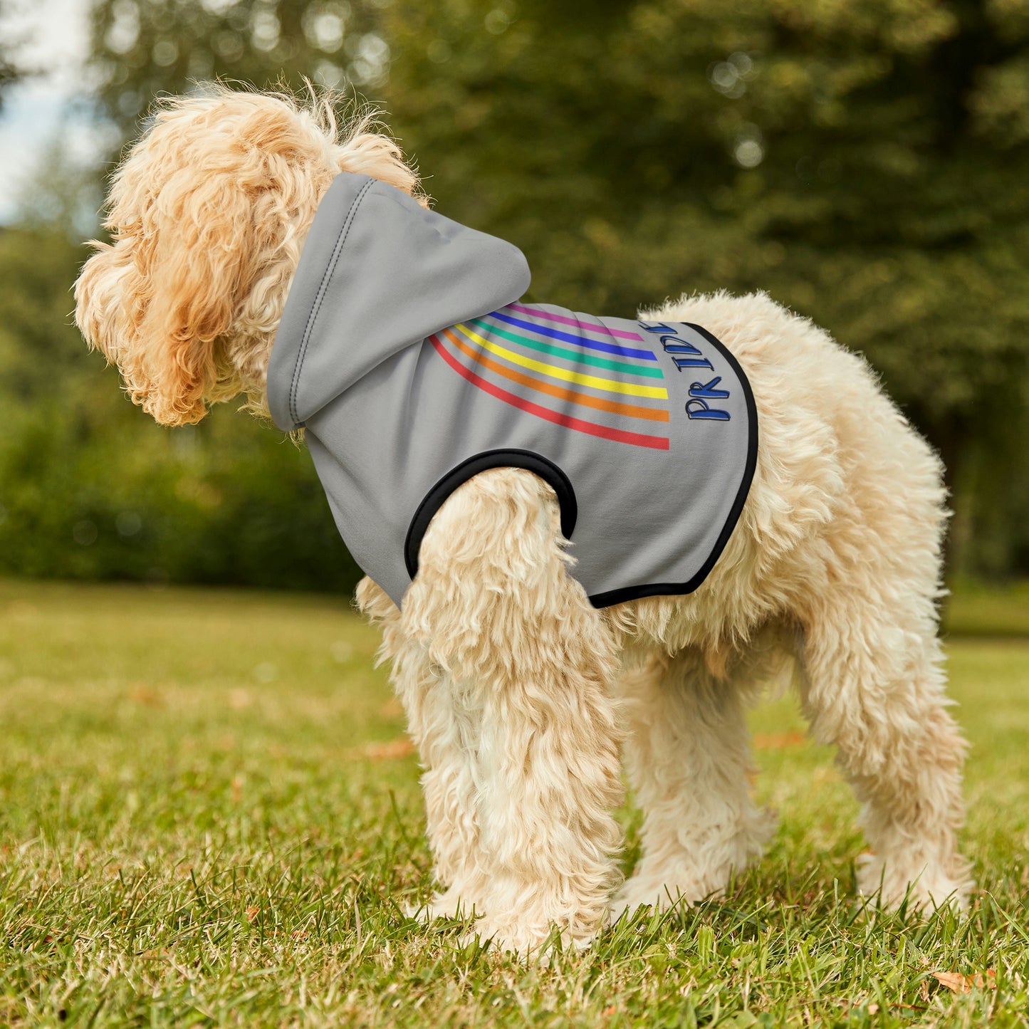 Pride 2023 Dog Hoodie
