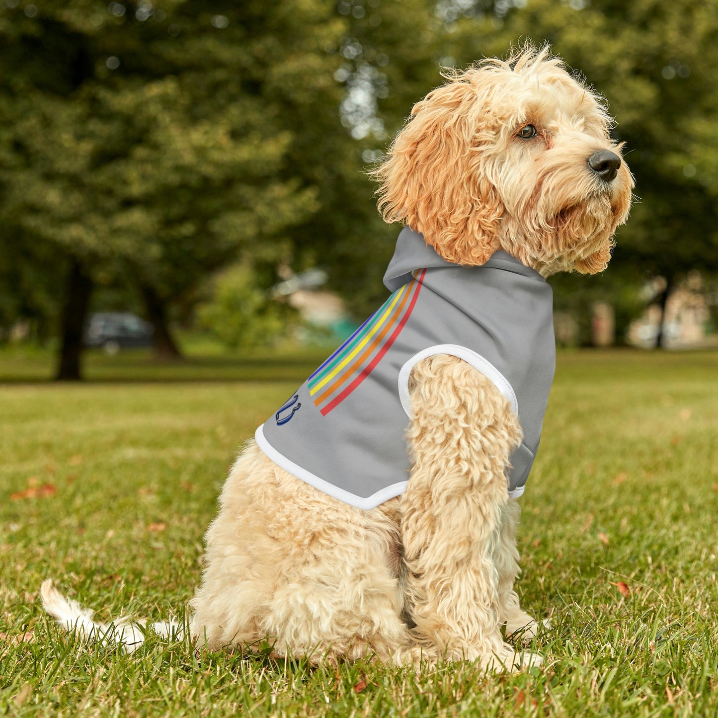 Pride 2023 Dog Hoodie