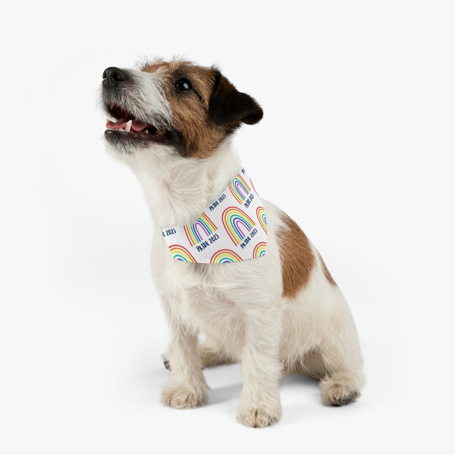Pride 2023 Pet Bandana Collar